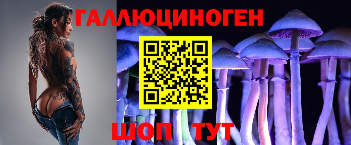 Петрозаводск  Галлюциногенные грибы ЛСД  Галлюциногенные грибы Psilocybe  Вход с VPN 