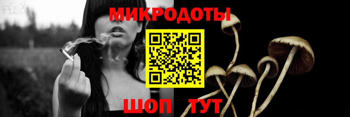 Галлюциногенные грибы ЛСД Петрозаводск